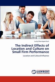 The Indirect Effects of Location and Culture on Small Firm Performance, Ossai-Igwe Esuh Lucky
