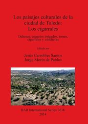 Los paisajes culturales de la ciudad de Toledo, Carrobles Santos Jess