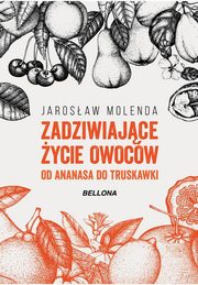 ksiazka tytu: Zadziwiajce ycie owocw Od ananasa do truskawki autor: Molenda Jarosaw