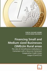 Financing Small and Medium sized Businesses (SMEs)in Rural areas, ZACHARY NEMBO FORCHU