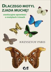 Dlaczego motyl zjada much, Pabis Krzysztof