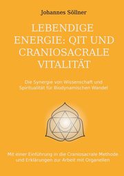 Lebendige Energie, Sllner Johannes