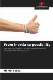 From inertia to possibility, Consul Mrnei