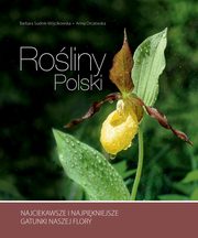 ksiazka tytu: Roliny Polski autor: Sudnik-Wjcikowska Barbara, Orczewska Anna