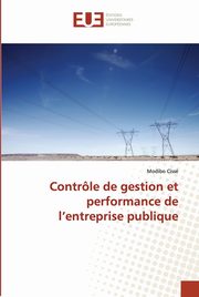 Contrle de gestion et performance de l entreprise publique, CISSE-M