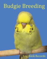 Budgie Breeding, Addicts Bird