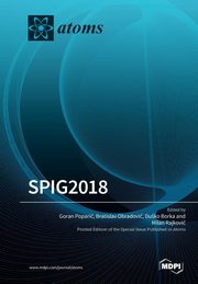SPIG2018, 