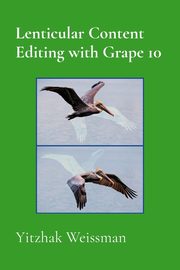 Lenticular Content Editing with Grape 10, Weissman Yitzhak