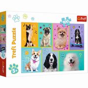 Puzzle 100 W wiecie pieskw, 