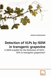 Detection of VLPs by ISEM in transgenic grapevine, Gottschamel Johanna