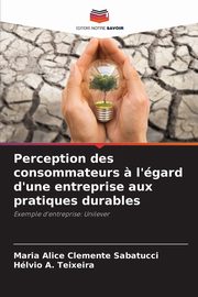 Perception des consommateurs ? l'gard d'une entreprise aux pratiques durables, Clemente Sabatucci Maria Alice