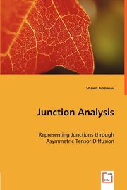 Junction Analysis, Arseneau Shawn