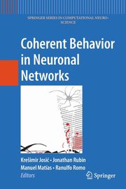 Coherent Behavior in Neuronal Networks, 