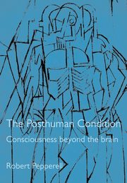 The Posthuman Condition, Pepperell Robert