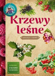 Krzewy lene Edukacja i zabawa, Hryniewicki Tomasz