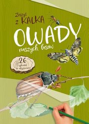 Owady naszych lasw Zeszyt z kalk, Kopiec-Sekieta Katarzyna