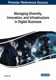 Managing Diversity, Innovation, and Infrastructure in Digital Business, 