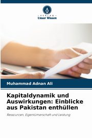 Kapitaldynamik und Auswirkungen, Ali Muhammad Adnan