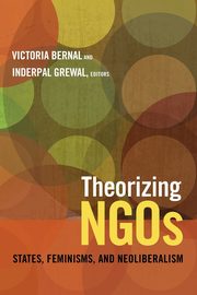 Theorizing NGOs, 