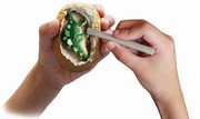 Dino Eggs, 