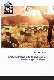 Morphological and molecular of eimeria spp in sheep, Alsadoon Zeid