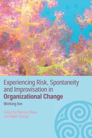 Experiencing Spontaneity, Risk & Improvisation in Organizational Life, 