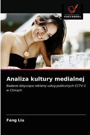 Analiza kultury medialnej, Liu Fang