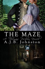 The Maze, a Thomas Pichon Novel, Johnston A. J. B.