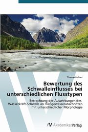 Bewertung des Schwalleinflusses bei unterschiedlichen Flusstypen, Fellner Thiemo