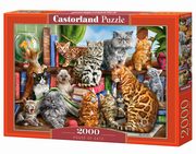 ksiazka tytu: Puzzle 2000 House of Cats autor: 