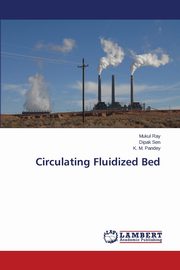 Circulating Fluidized Bed, Ray Mukul