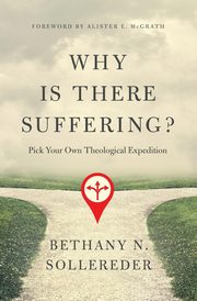 Why Is There Suffering?, Sollereder Bethany N.
