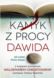 ksiazka tytu: Kamyk z procy Dawida autor: Chrostowski Waldemar, Rowiski Tomasz