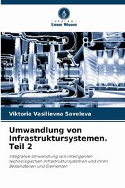 Umwandlung von Infrastruktursystemen. Teil 2, Saveleva Viktoria Vasilievna