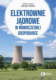 Elektrownie jdrowe w nowoczesnej gospodarce, Zieliski Andrzej