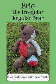 Brio, the Irregular Regular Bear, Smith JoAnn