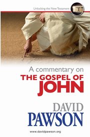 A Commentary on the Gospel of John, Pawson David