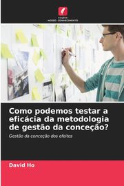 Como podemos testar a eficcia da metodologia de gest?o da conce?o?, Ho David