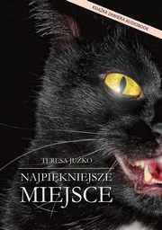 ksiazka tytu: Najpikniejsze miejsce autor: Juko Teresa