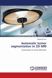 Automatic tumor segmentation in 2D MRI, Kumar Mukesh