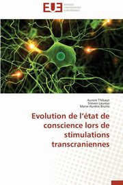 Evolution de l tat de conscience lors de stimulations transcraniennes, Collectif