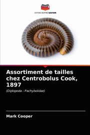 Assortiment de tailles chez Centrobolus Cook, 1897, Cooper Mark