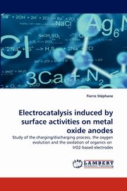 Electrocatalysis Induced by Surface Activities on Metal Oxide Anodes, Stphane Fierro