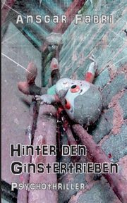 Hinter den Ginstertrieben, Fabri Ansgar