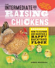 The Intermediate Guide to Raising Chickens, Bradshaw Amber