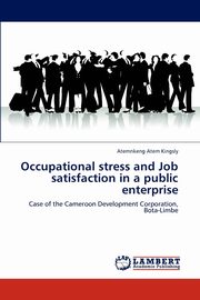 ksiazka tytu: Occupational stress and Job satisfaction in a public enterprise autor: Kingsly Atemnkeng Atem