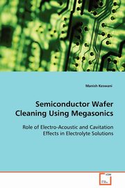 Semiconductor Wafer Cleaning Using Megasonics, Manish Keswani