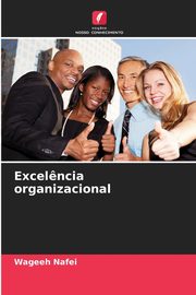 Excel?ncia organizacional, Nafei Wageeh