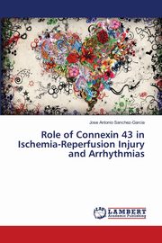 Role of Connexin 43 in Ischemia-Reperfusion Injury and Arrhythmias, Sanchez-Garcia Jose Antonio