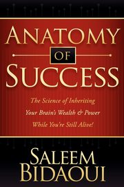 Anatomy of Success, Bidaoui Saleem